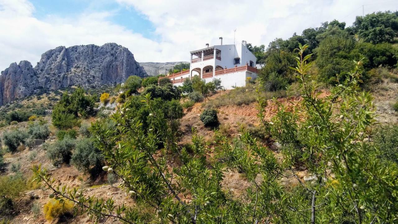 Casa Encina - Encinasola Turismo Rural. Alora Εξωτερικό φωτογραφία