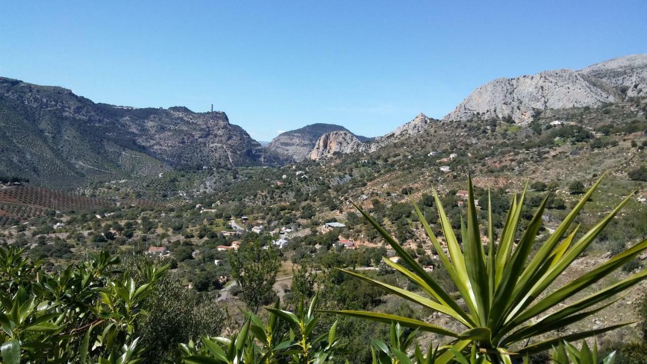 Casa Encina - Encinasola Turismo Rural. Alora Εξωτερικό φωτογραφία