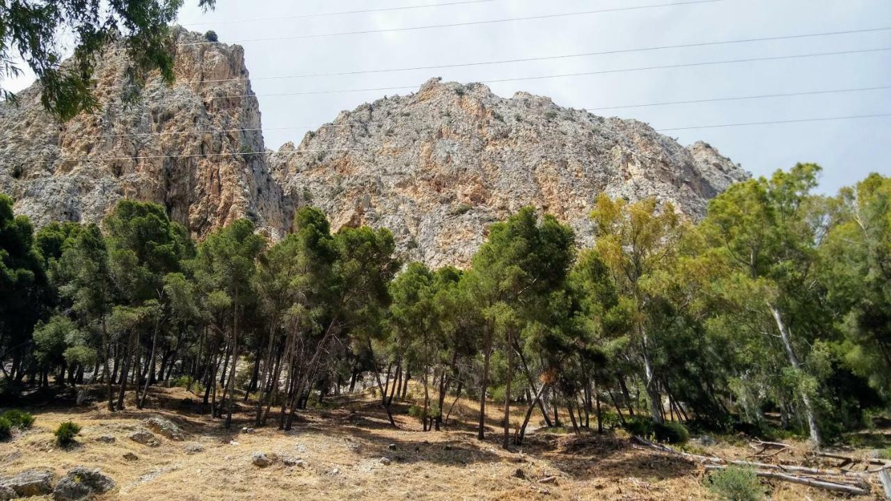 Casa Encina - Encinasola Turismo Rural. Alora Εξωτερικό φωτογραφία
