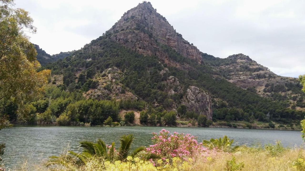 Casa Encina - Encinasola Turismo Rural. Alora Εξωτερικό φωτογραφία
