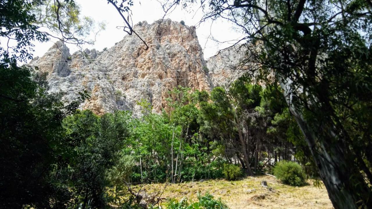 Casa Encina - Encinasola Turismo Rural. Alora Εξωτερικό φωτογραφία